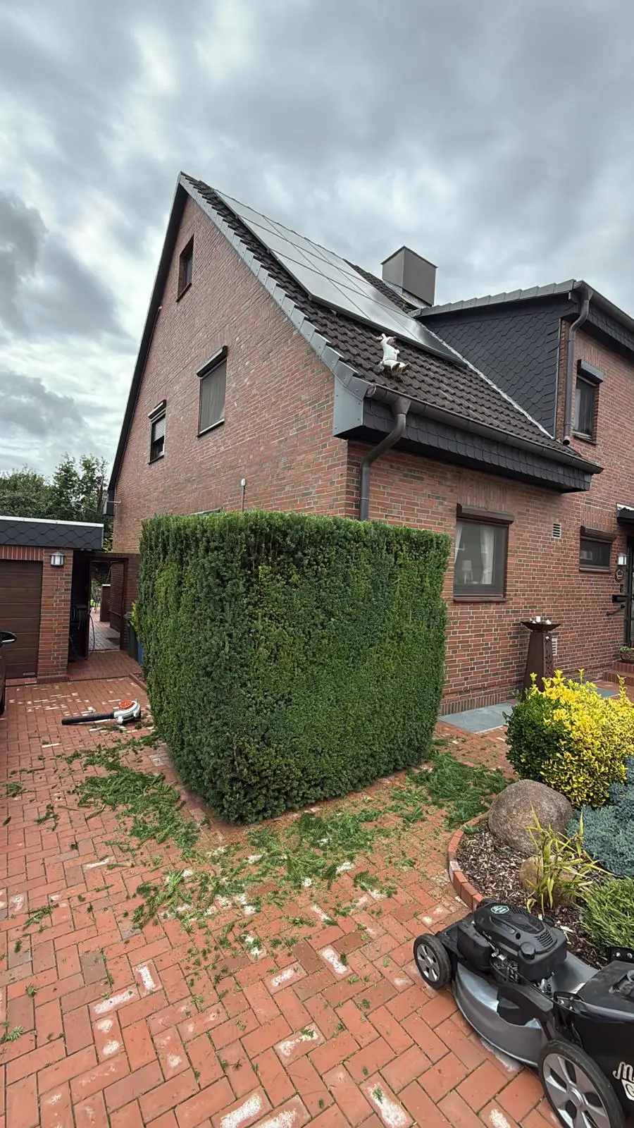 Formschön geschnittene Hecke nach dem Heckenschnitt
