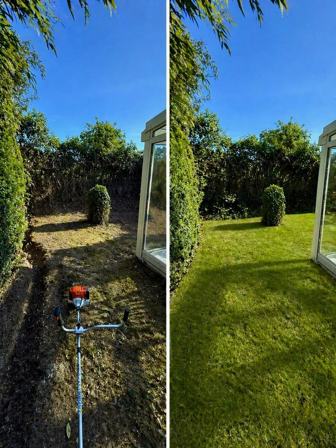 Vorher-Nachher-Vergleich einer Rasenfläche: links trocken und ungepflegt, rechts sattgrün